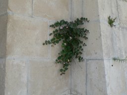 Vendredi 23 Ragusa