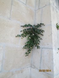 Vendredi 23 Ragusa