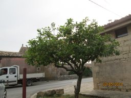 Vendredi 23 Ragusa