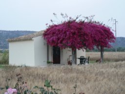 Vendredi 23 Ragusa