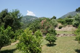 le Voyage à Felce