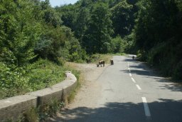 le Voyage à Felce
