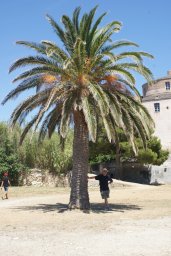 Agriates et Saint Florent