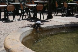 Agriates et Saint Florent