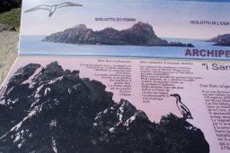 du golfe de Sagone à celui d' Ajaccio