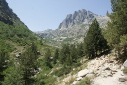 Vizzavona, Corte et la Restonica